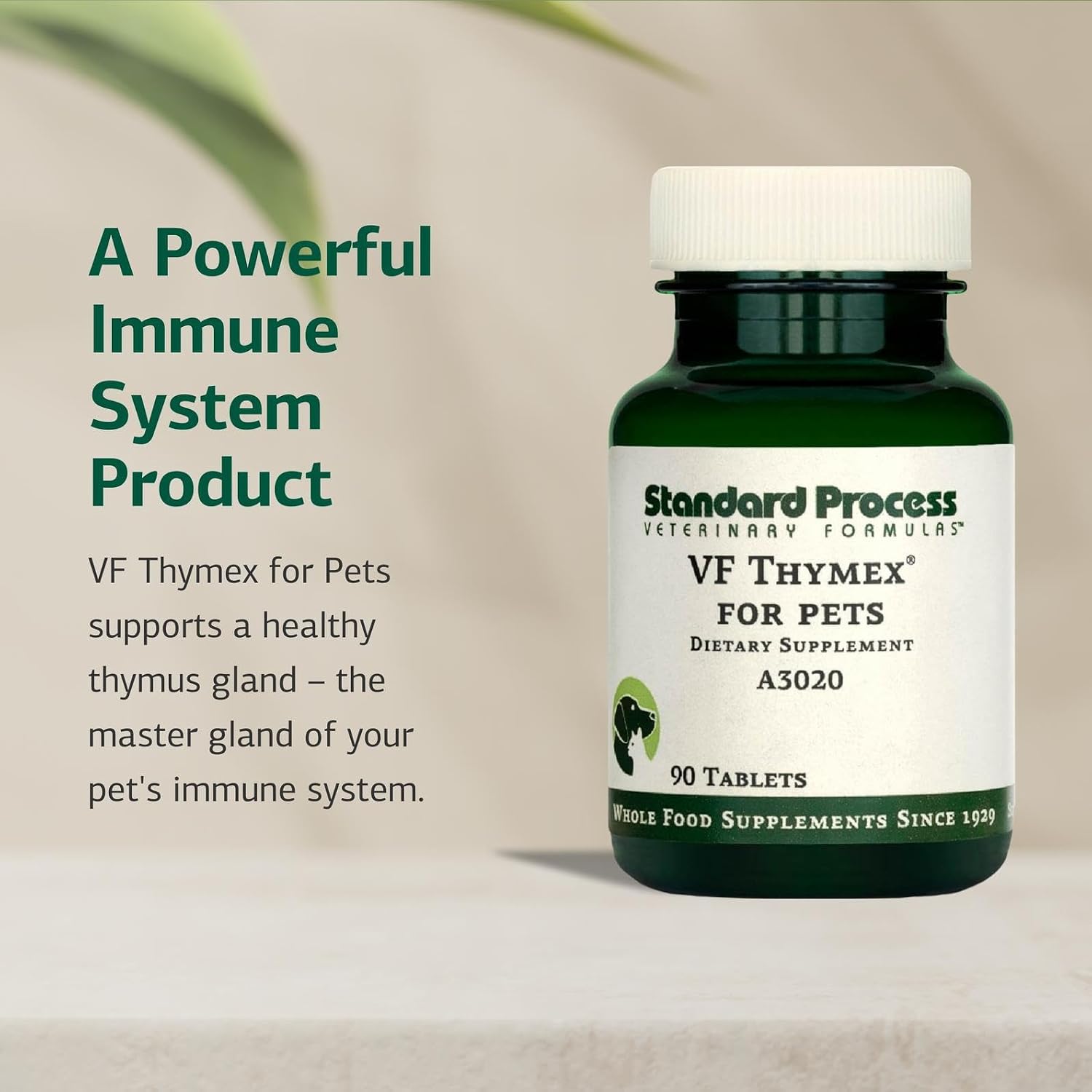 Standard Process VF Thymex for Pets - Thymus Support Supplement for Dogs and Cats - 90 Tablets