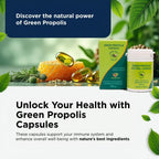 ApisBrasil Propóleo Verde Brasileño - 900 mg diarios - 90 Cápsulas blandas