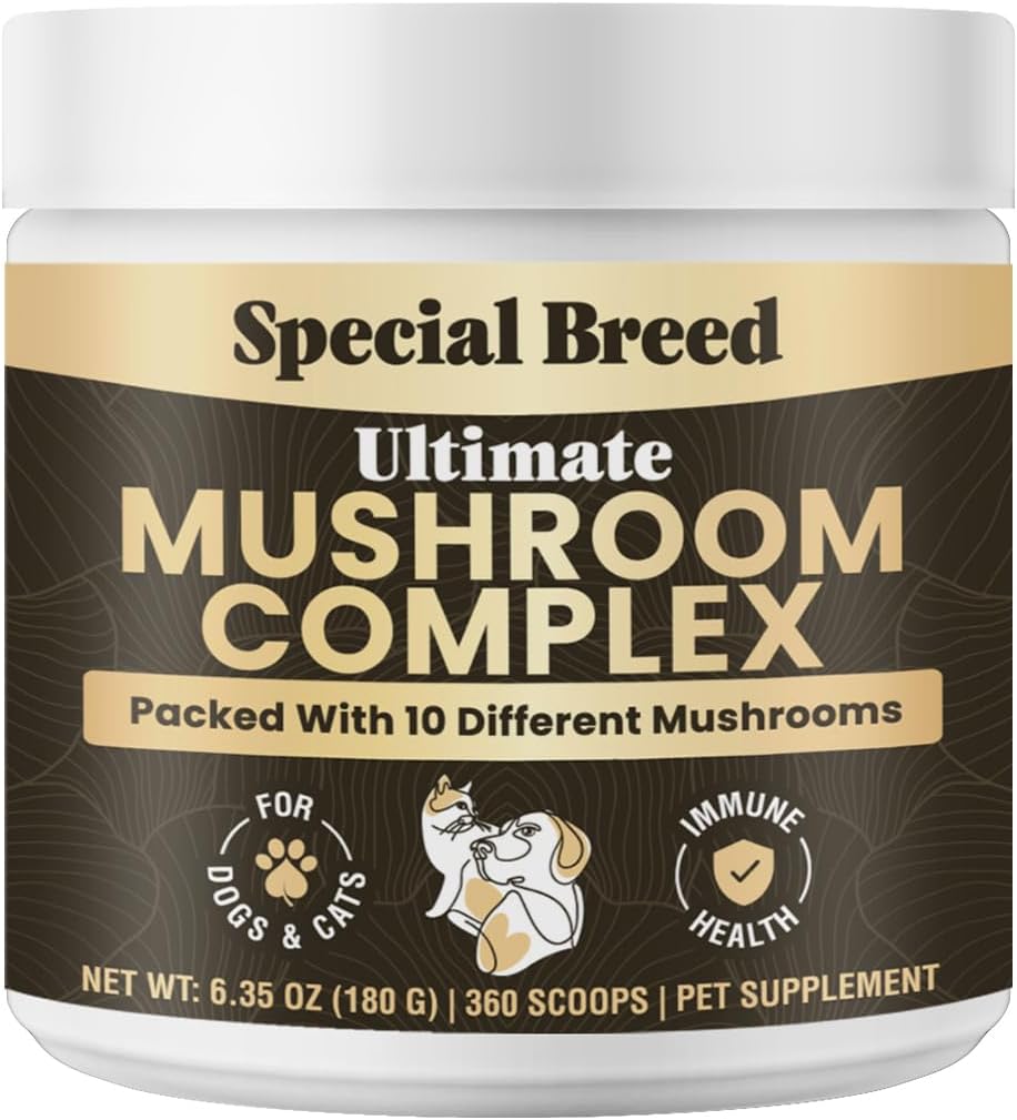 Mushroom Powder for Dogs & Cats - Organic Mushroom Complex for Immune Support, Cognition, Vitality - Ten Mushroom Supplement – Image 8