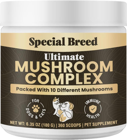 Special Breed Polvo de Hongos Orgánicos para – Reishi : conocido por sus propiedades calmantes y de apoyo – Image 1