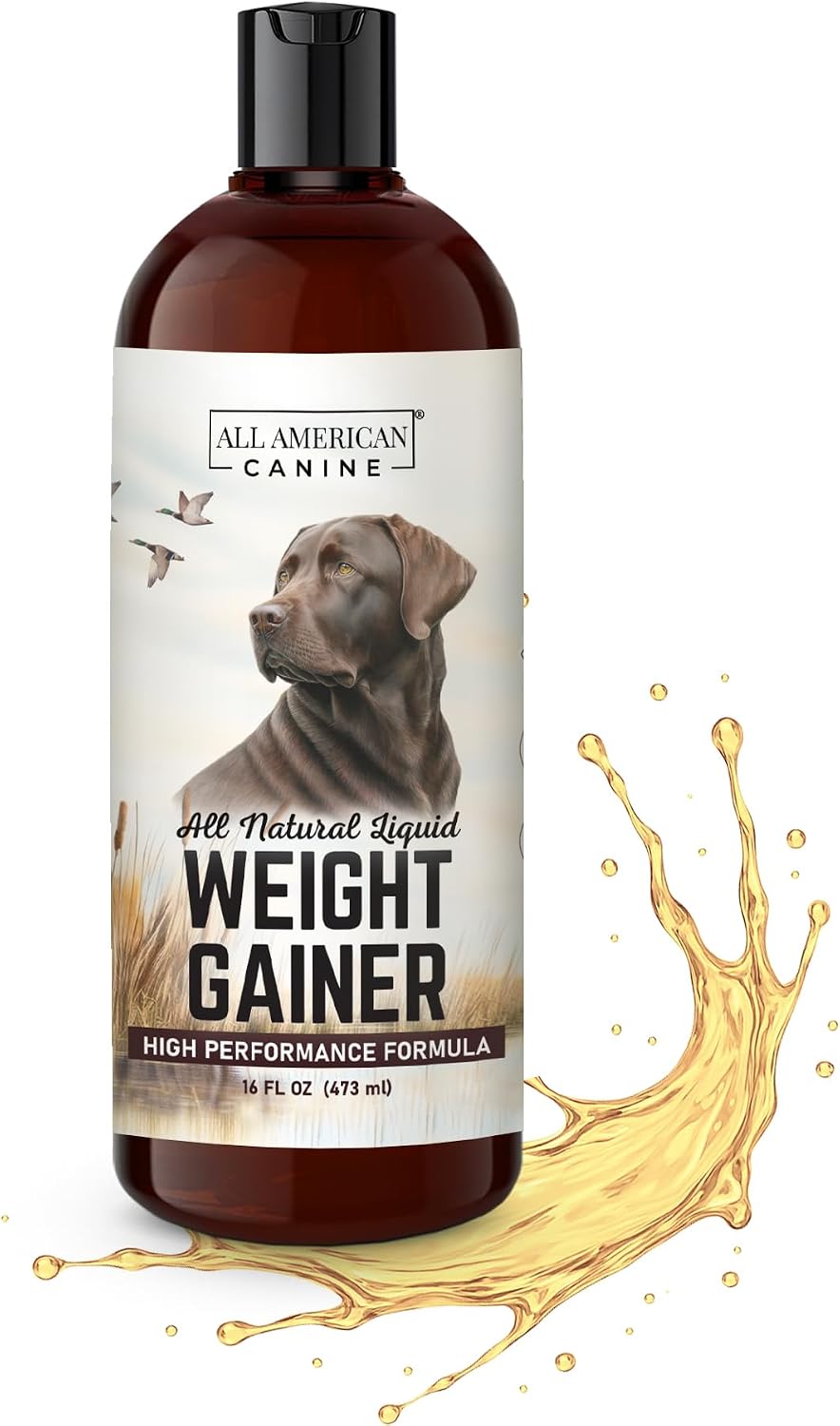 All American Canine Perro Weight Gainer Líquido – Suplemento de Altas Calorías para el Aumento de Peso, Masa y Recuperación – Estimulante del Apetito (473 ml)
