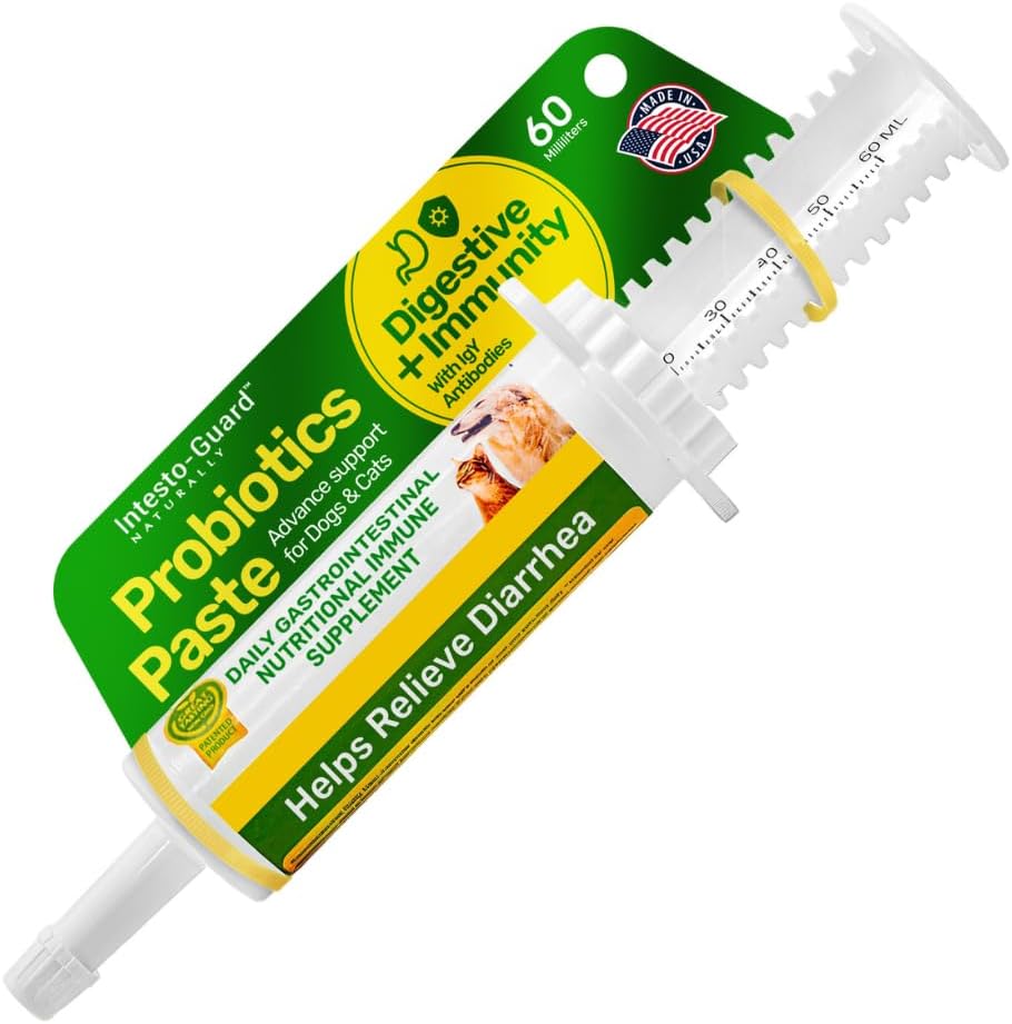 Probiotics Paste for Dogs Prebiotic for Canine, Gut Support, & Immune Boost, All Natural with 1 Billion per ML Includes – Image 1