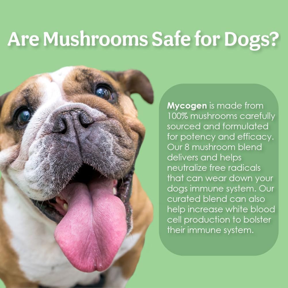 Mycogen Immune Support para Perros – Mezcla de Beta Glucano y Hongos Reishi, Shiitake y Maitake – 60 Chews Blandos Sabor Hígado