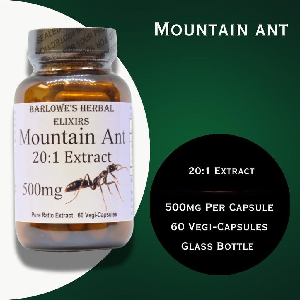 Barlowe's Herbal Elixirs Extracto de Hormiga de Montaña | 20:1 | 500 mg | 60 Cápsulas Veganas