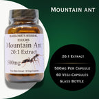 Barlowe's Herbal Elixirs Extracto de Hormiga de Montaña | 20:1 | 500 mg | 60 Cápsulas Veganas