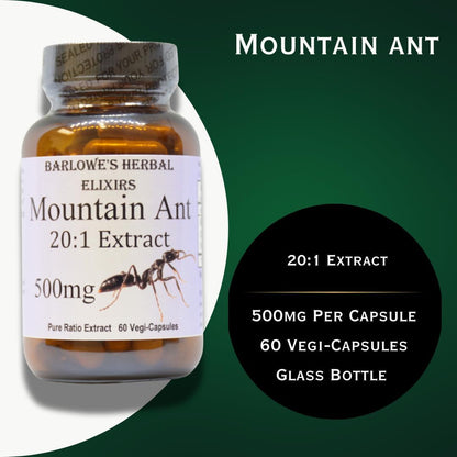 Barlowe's Herbal Elixirs Extracto de Hormiga de Montaña | 20:1 | 500 mg | 60 Cápsulas Veganas – Image 3