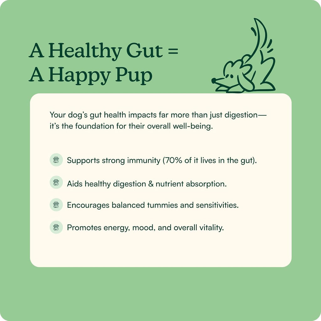 Reggie Pumpkin Probiotic Powder for Dogs | Probiótico en Polvo con Calabaza para Perros | 7 Cepas para la Salud Digestiva | 40 Dosis