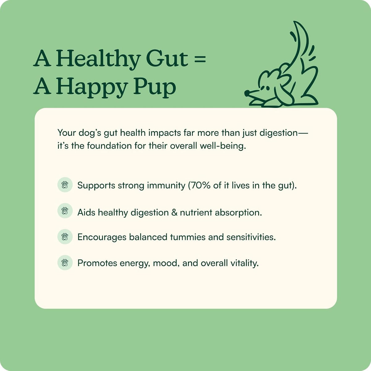 Reggie Pumpkin Probiotic Powder for Dogs | Probiótico en Polvo con Calabaza para Perros | 7 Cepas para la Salud Digestiva | – Image 3
