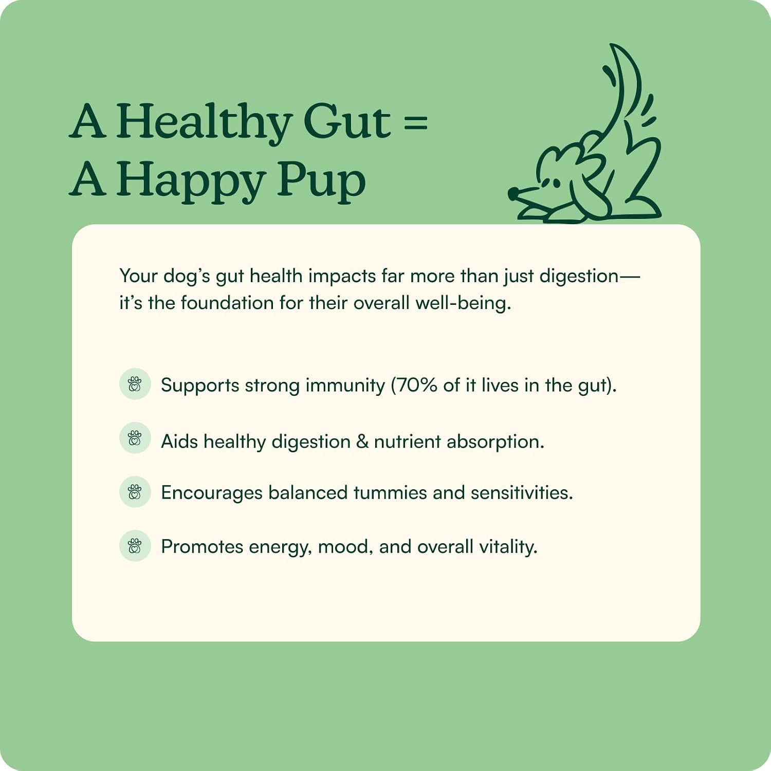 Reggie Pumpkin Probiotic Powder for Dogs | Probiótico en Polvo con Calabaza para Perros | 7 Cepas para la Salud Digestiva | 40 Dosis