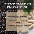 Morsan Kaunch (Konch) Beej Cápsulas – Mucuna pruriens 500 mg – 240 Cápsulas Veganas (Paquete de 4)