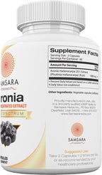 Extracto de Aronia Berry 20:1 – 120 Cápsulas de 500 mg