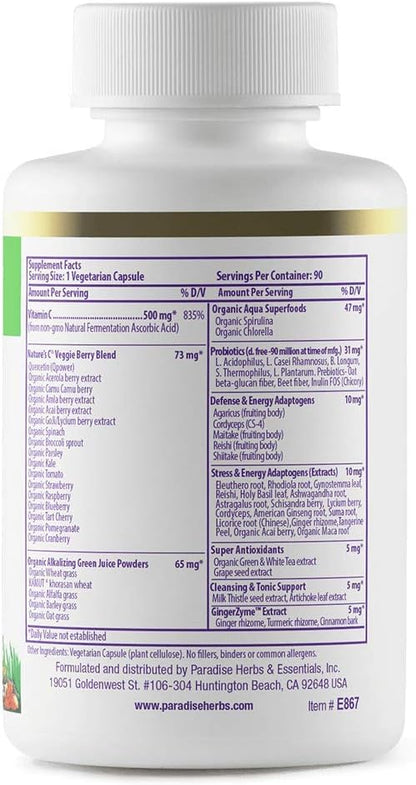 Paradise Herbs Earth's Blend Vitamina C con – Ayuda a proteger las células frente al daño oxidativo. – Image 2