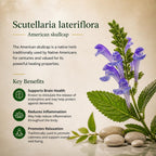 Brain Health Nootropic Supplement – Lion's Mane 200mg, Gotu Kola 200mg, Choline 80mg, Beetroots 100mg, Skullcap 400mg