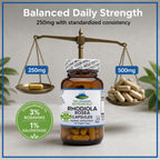 Pure Mountain Botanicals Rhodiola Rosea 250mg - 60 Cápsulas Veganas