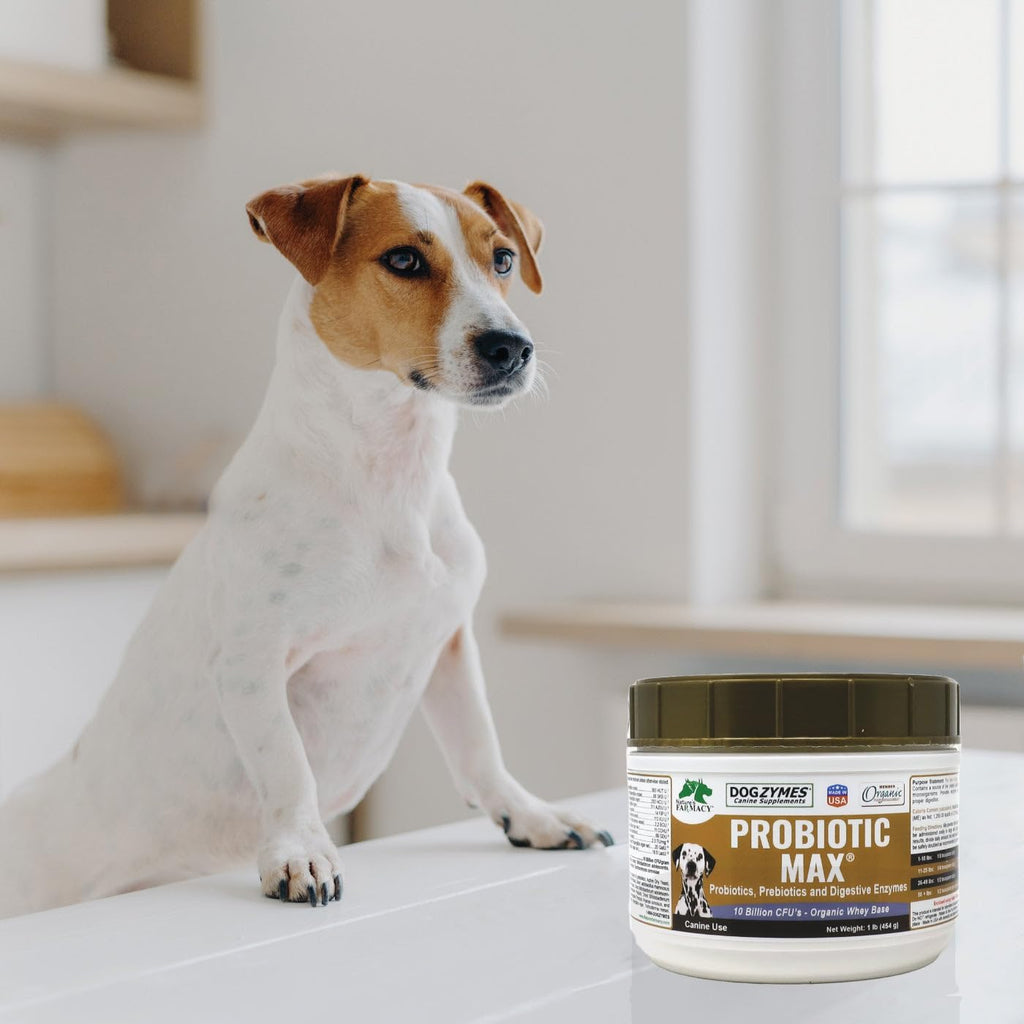Dogzymes Probiotic Max - Probióticos y Enzimas Digestivas para Perros (900 g)