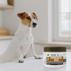 Dogzymes Probiotic Max - Probióticos y Enzimas Digestivas para Perros (900 g)