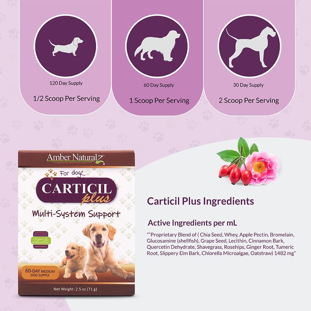 Amber NaturalZ Carticil Plus Suplemento Herbal para Perros - Apoyo Multisistémico (60 Días para Perros Medianos)