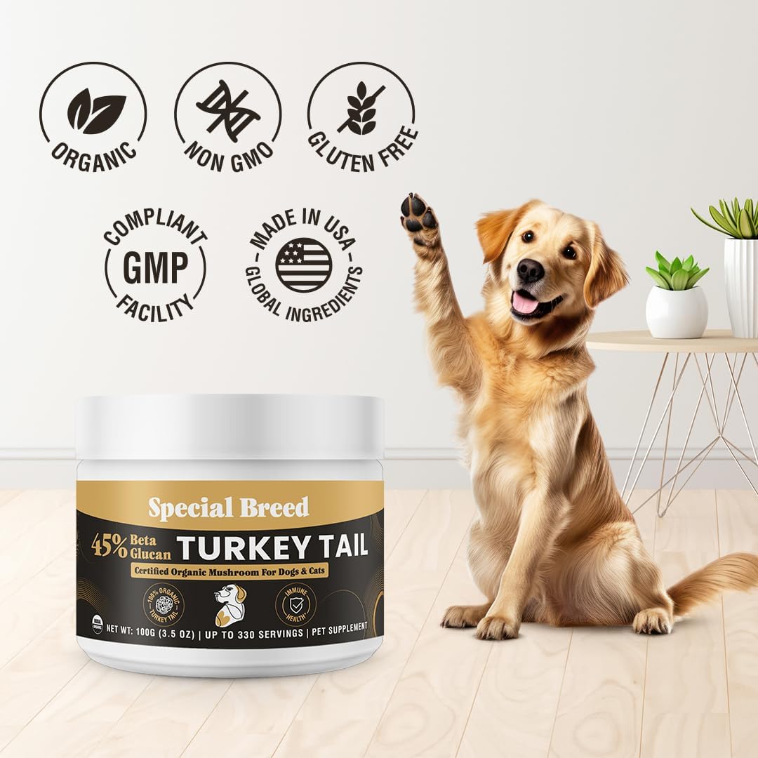 Cola de Pavo Orgánica para Perros y Gatos - Estandarizado al 45% de Beta Glucanos - Cuerpo Frutal Completo Extraído en Agua Caliente - Probado por Terceros - Apoyo Inmunológico y Digestivo - Sin Rellenos - Hecho en EE.UU. - 330 cápsulas