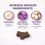 VetriScience Bladder Health Chews for Dogs - Bladder Control and Urinary Support Supplement, Chicken Flavor, 60 Count