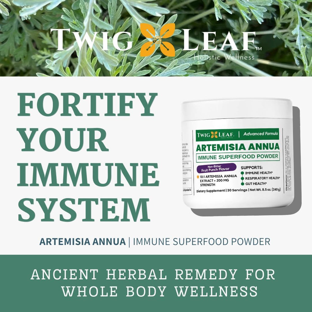 Artemisia Annua Sweet Wormwood Herbal Powder