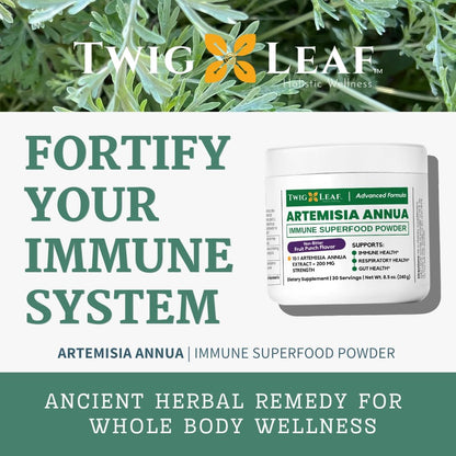 Artemisia Annua Sweet Wormwood Herbal Powder – Extracto de remolacha: Fuente natural de nitratos y antioxidantes – Image 3