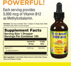 Nature's Life B12 Drops 5000 mcg - Methylcobalamin Vitamin B12 - Natural Mixed Berry Flavor Liquid Supplement, Sugar-Free 59 ml