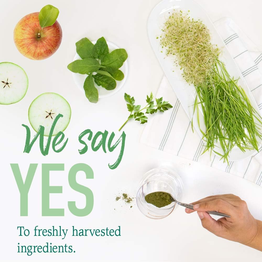 Garden of Life Raw Organic Perfect Food Energizer - Superfood Verde en Polvo Sabor Granada y Yerba Mate, 30 Raciones