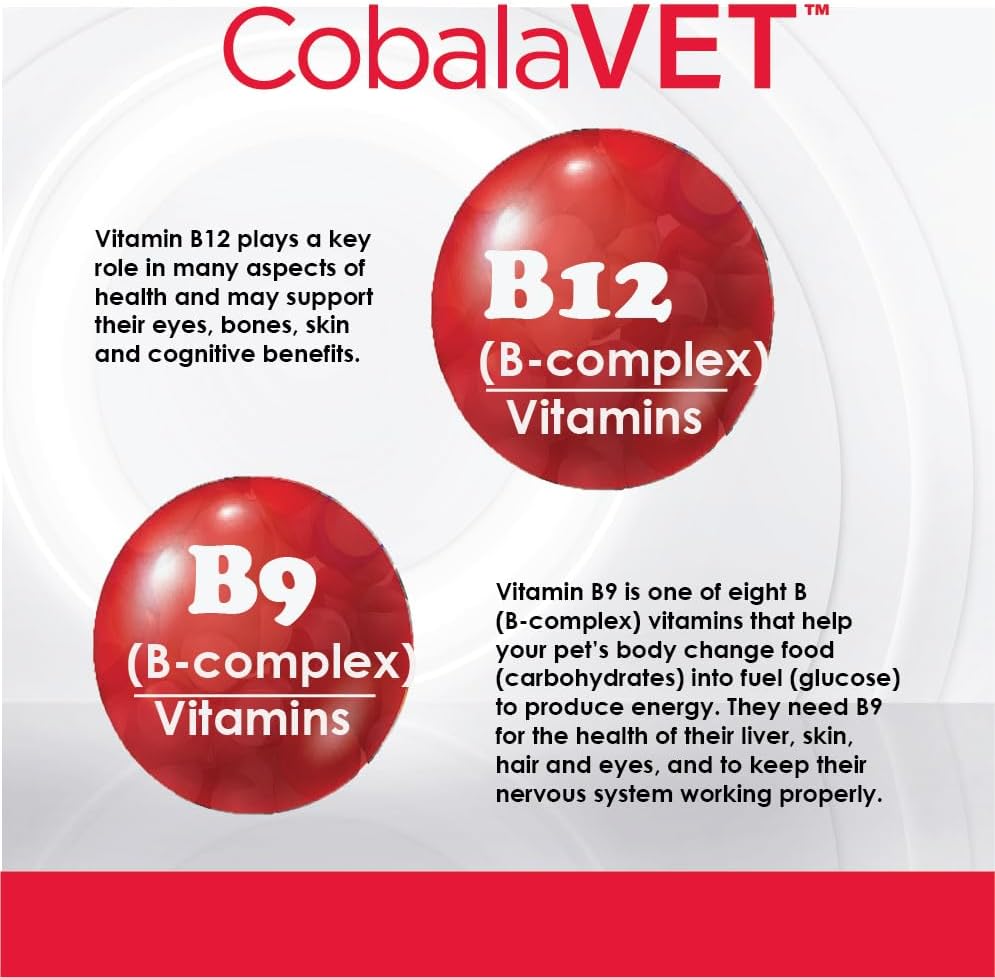 CobalaVet Vitaminas B12 y B9 para Perros y Gatos Pequeños - 60 Masticables