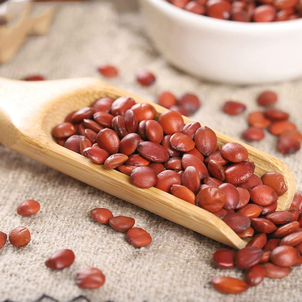 Zizyphus Jujuba (Suan Zao Ren) - Semillas de Azufaifo Silvestre, 500g