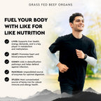 Ancestral Supplements Suplemento de Órganos de Res Alimentados con Pasto - Mezcla de Hígado, Corazón, Riñón, Páncreas, Bazo - Liofilizado - No GMO - 180 Cápsulas