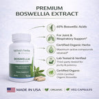 Boswellia Serrata CO2 Extract 500 mg - 240 Cápsulas Veganas (2 Pack)