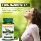 Pure Nutrition Giloy Guduchi Extract 700mg - 60 Cápsulas