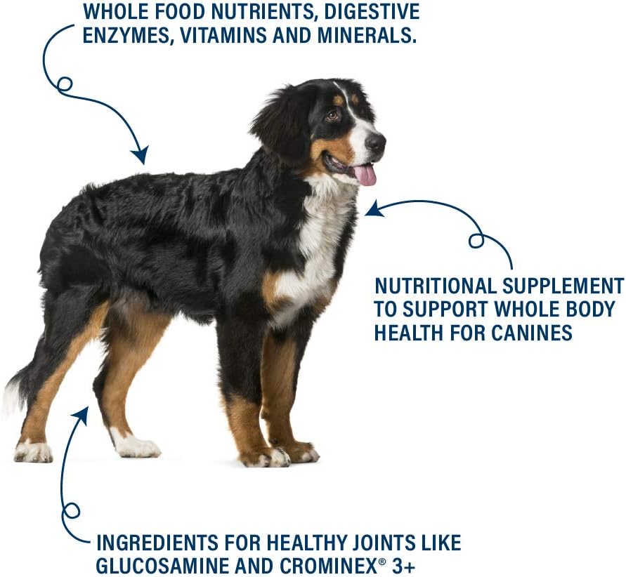 Canine Superfood Boost – Complemento alimenticio para perros, todas las etapas vitales, 30 raciones, sabor a carne