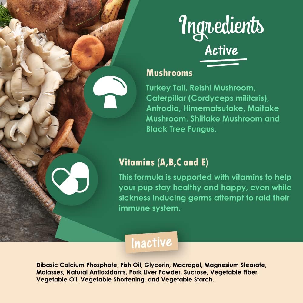Mycogen Immune Support para Perros – Mezcla de Beta Glucano y Hongos Reishi, Shiitake y Maitake – 60 Chews Blandos Sabor Hígado
