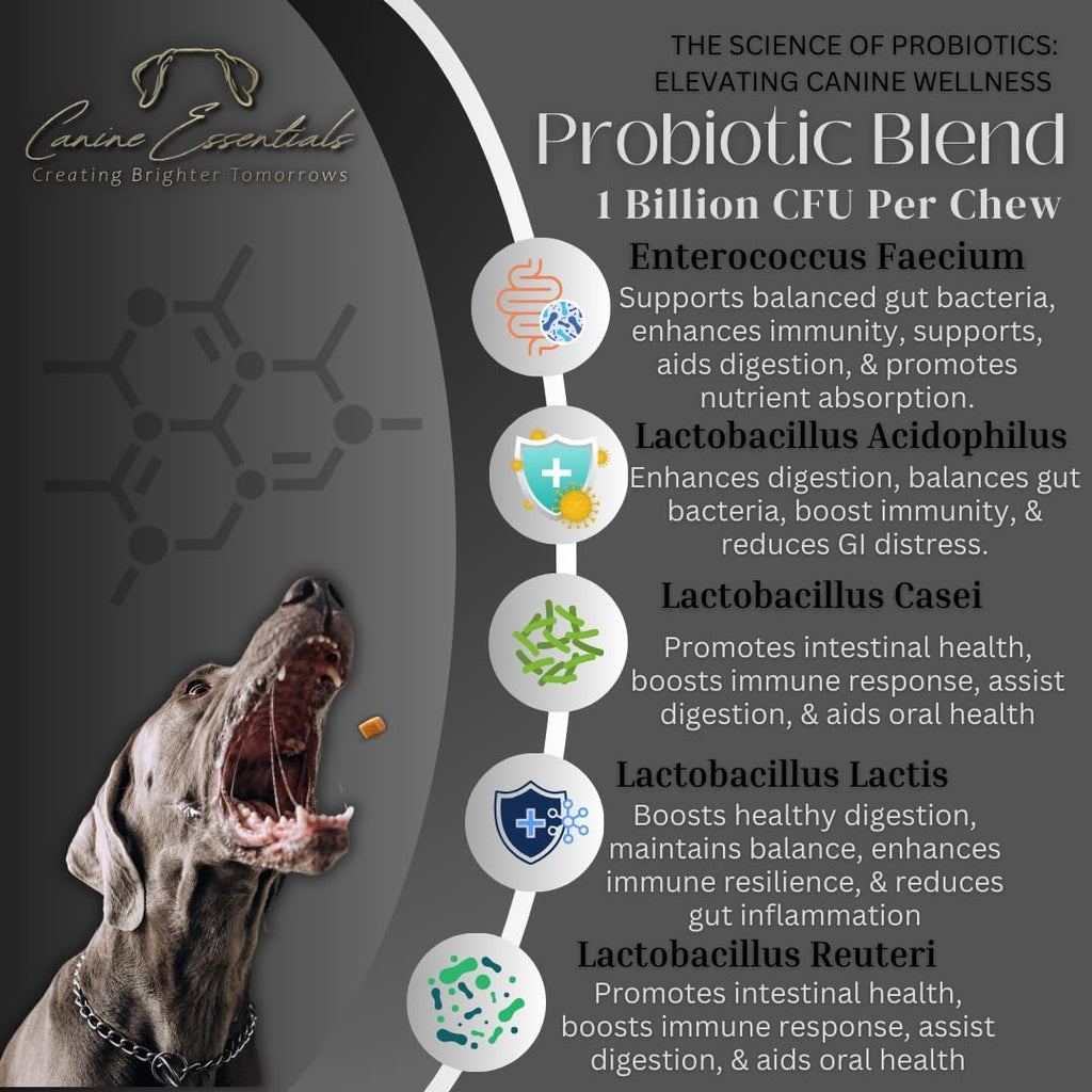 Canine Essentials Probióticos para Perros – Sabor a Pato – Aprox. 90 Masticables, 226 g – Apoyo Digestivo e Inmunológico – Ingredientes de Grado Humano
