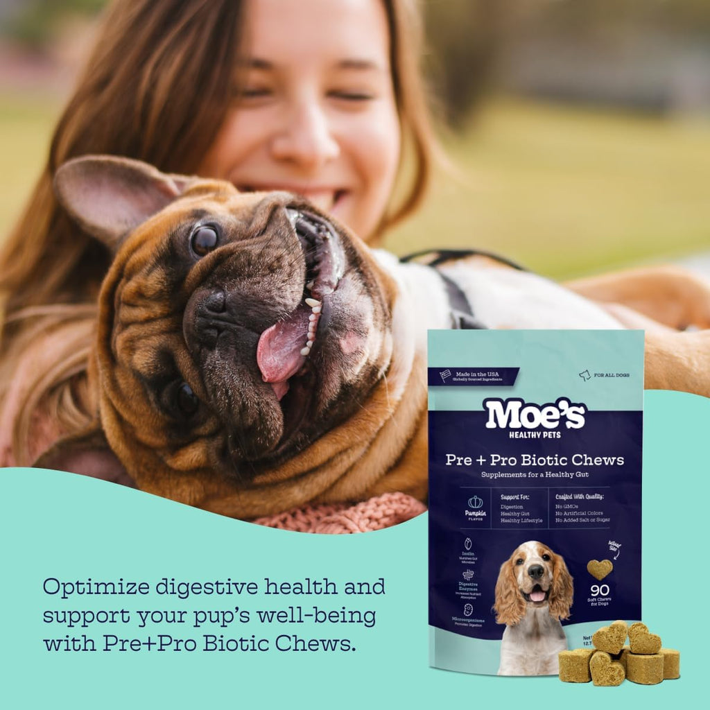 Masticables Probióticos para Perros Moe's – Sabor Calabaza, 90 unidades
