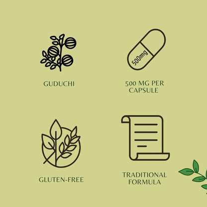 Extracto de Guduchi 500mg - 60 Cápsulas Vegetarianas | Tinospora Cordifolia | 100% Natural | Vegano | Sin Gluten – Image 6