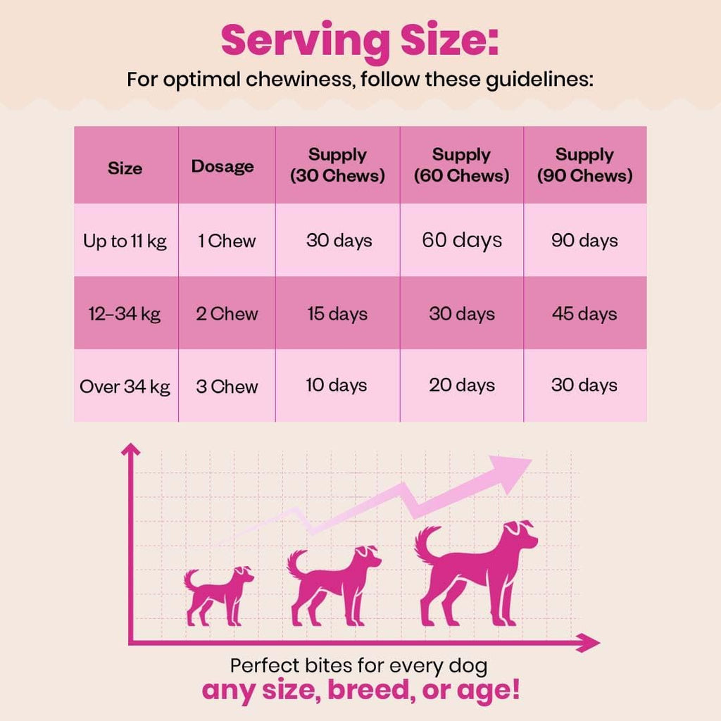 Masticables Probióticos para Perros | Seis Cepas Probióticas | Salud Digestiva e Inmunológica | Sabor Pollo | 90 Masticables