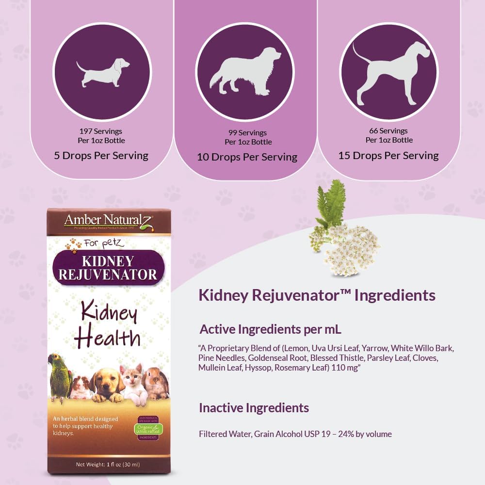 Amber NaturalZ Kidney Rejuvenator - Suplemento Herbal para la Función Renal de Mascotas (30 ml)