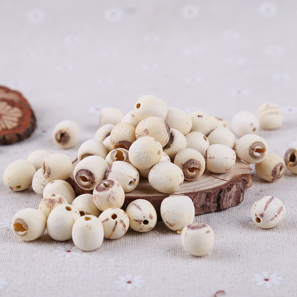 Semillas de Loto Orgánicas (500 g)