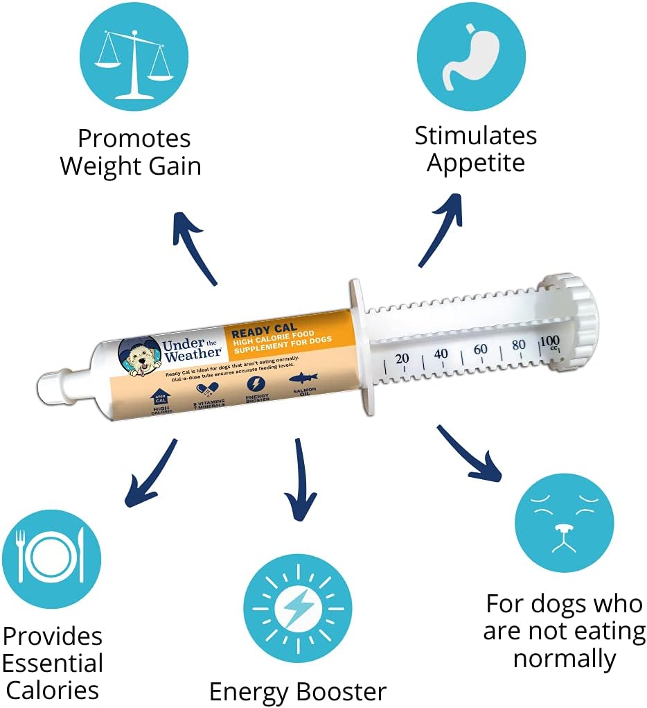 Under the Weather Ready Cal para Perros 100cc - Suplemento de Altas Calorías para Ganancia de Peso