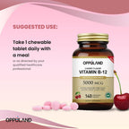 Metil B-12 5000mcg con Folato - Vitamina B12 Metilcobalamina Sublingual - Apoyo Energético y Cerebral - 140 Comprimidos Veganos