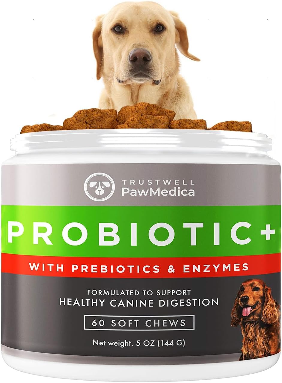 PawMedica Probióticos y Enzimas Digestivas para Perros - 60 Masticables