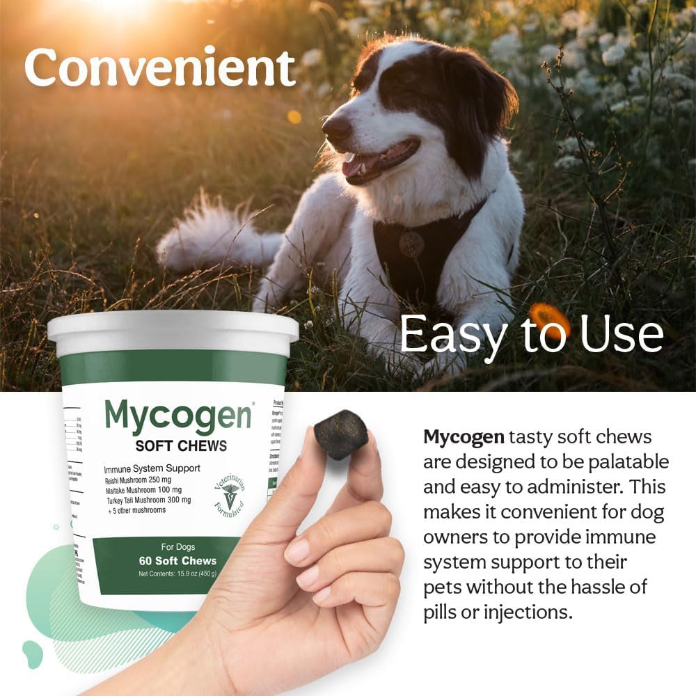 Mycogen Immune Support para Perros – Mezcla de Beta Glucano y Hongos Reishi, Shiitake y Maitake – 60 Chews Blandos Sabor Hígado
