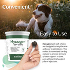 Mycogen Immune Support para Perros – Mezcla de Beta Glucano y Hongos Reishi, Shiitake y Maitake – 60 Chews Blandos Sabor Hígado