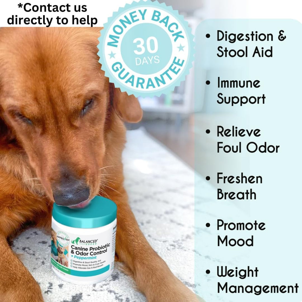 Balanced Breed Probióticos para Perros con Enzimas Digestivas