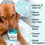 Balanced Breed Probióticos para Perros con Enzimas Digestivas