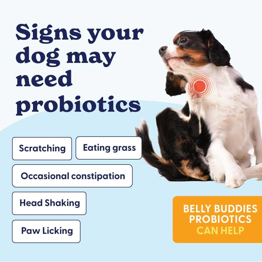 Origin Labs Belly Buddies Probióticos para Perros, 90 Masticables Sabor Bacon