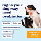 Origin Labs Belly Buddies Probióticos para Perros, 90 Masticables Sabor Bacon