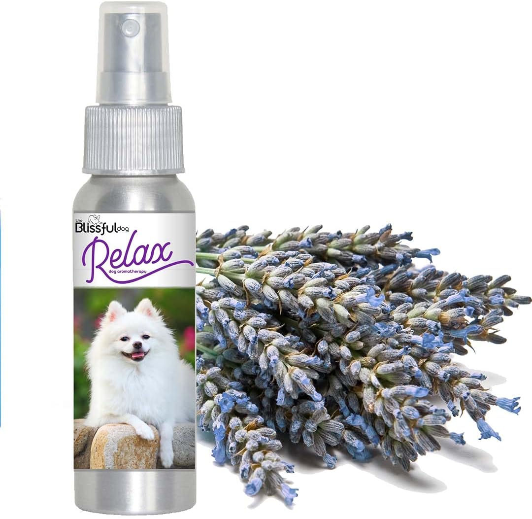 The Blissful Dog American Eskimo Relax Dog Aromatherapy Spray – Spray de aromaterapia calmante para perros con ansiedad
